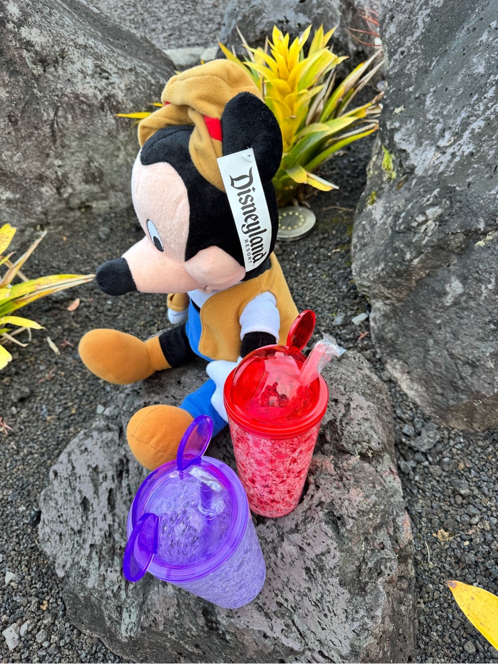 Disneyland Resort Mickey Mouse Plush & Mickey Ear Tumblers Bundle - Picture 5 of 9